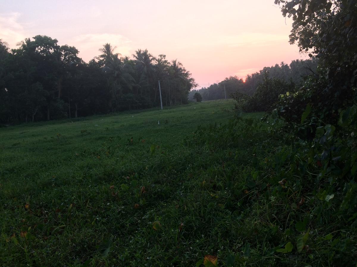 Anuhas Airport Villas Katunayake Exterior photo